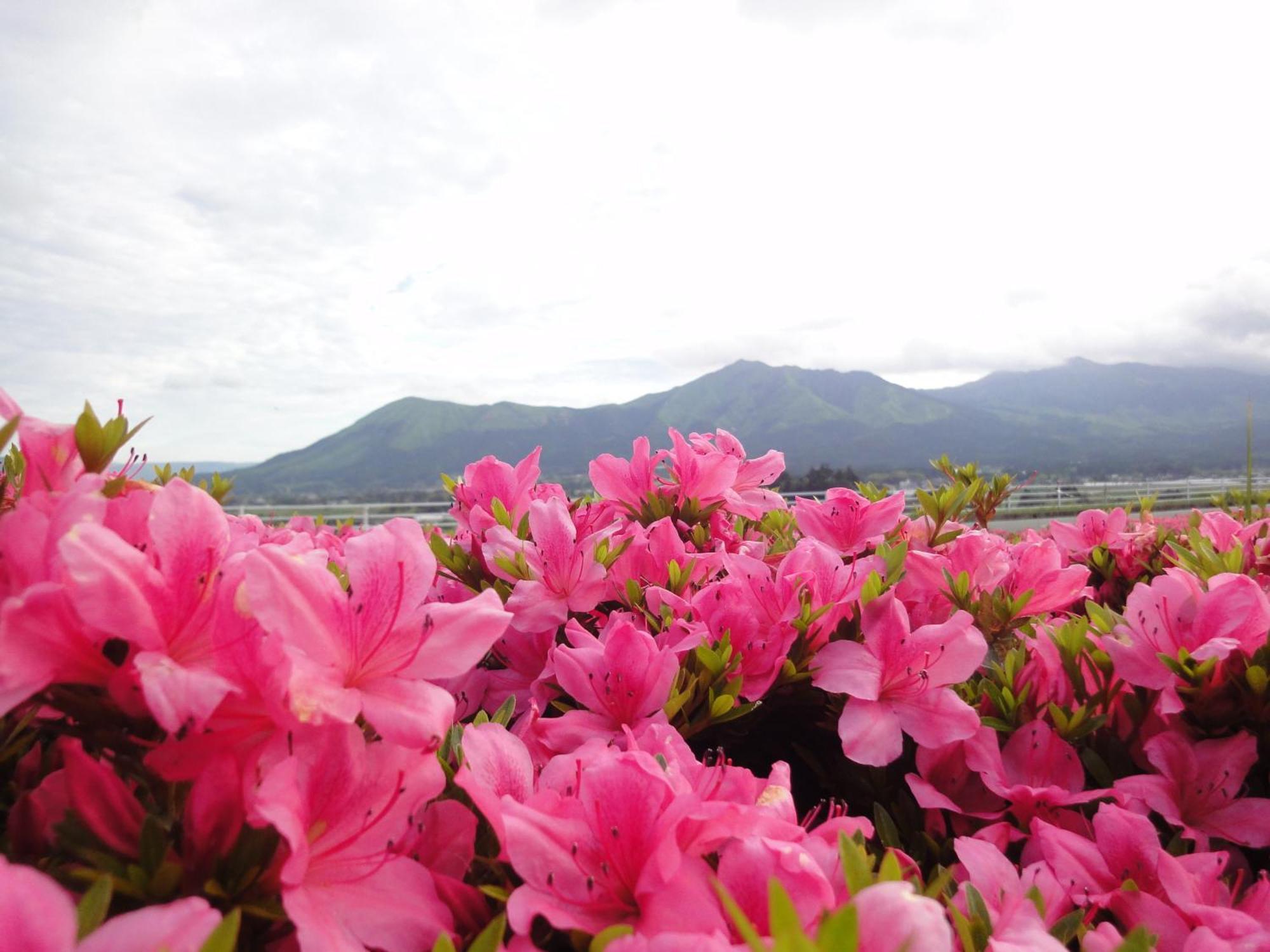 Shikino Mori Hotel Aso Exterior foto