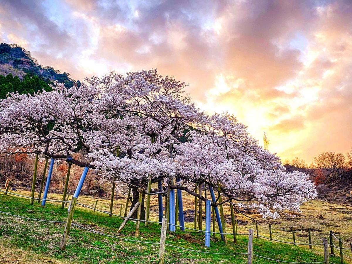Shikino Mori Hotel Aso Exterior foto